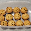 Muffins Chocolate Chip