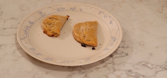 The Platypus Familys Pan Pans served