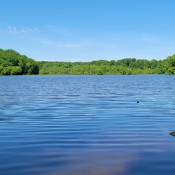 Lake Accotink