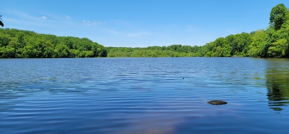 Lake Accotink