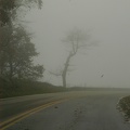 Shenandoah in the fog