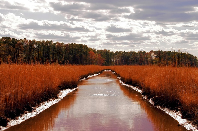 Jamestown Island