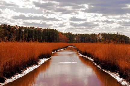 Jamestown Island