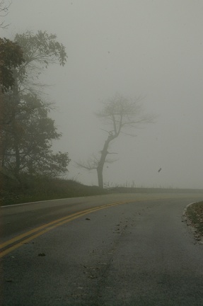 Shenandoah in the fog