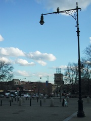 Prospect Park at Flatbush Ave Red Tailed Hawk