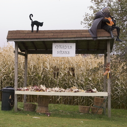 Finneys Pumpkinville