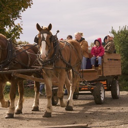 Finneys Pumpkinville
