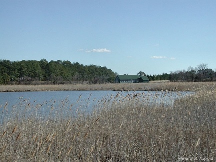 horseheadPond