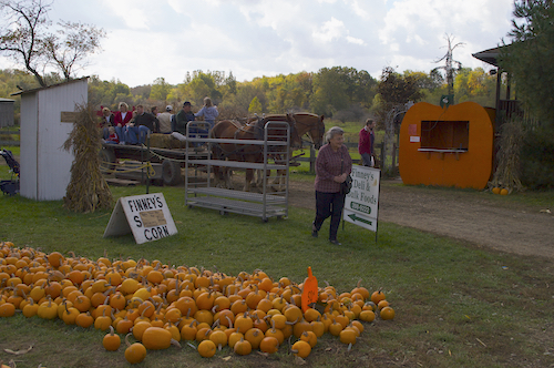 Finney's Pumpkinville